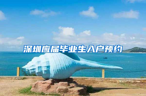 深圳应届毕业生入户预约