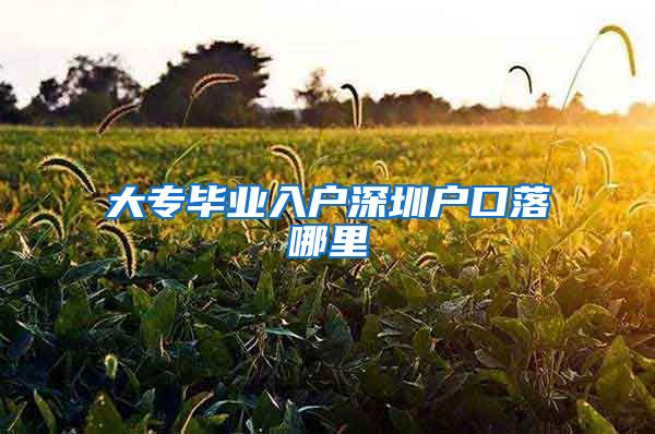 大专毕业入户深圳户口落哪里