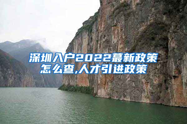深圳入户2022蕞新政策怎么查,人才引进政策