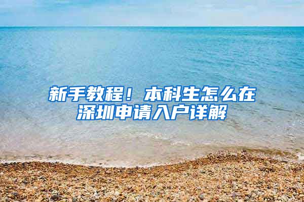 新手教程！本科生怎么在深圳申请入户详解