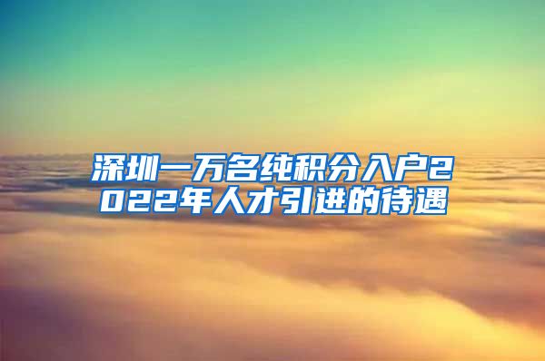深圳一万名纯积分入户2022年人才引进的待遇