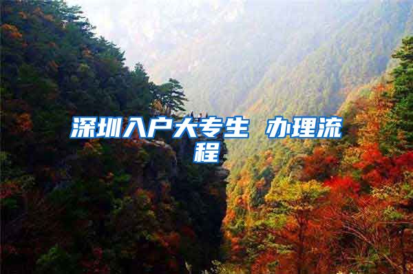 深圳入户大专生 办理流程