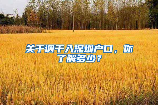 关于调干入深圳户口，你了解多少？