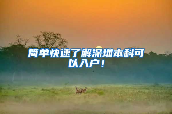 简单快速了解深圳本科可以入户！