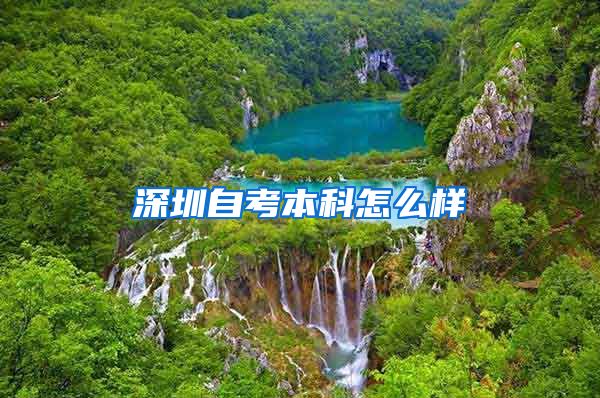 深圳自考本科怎么样