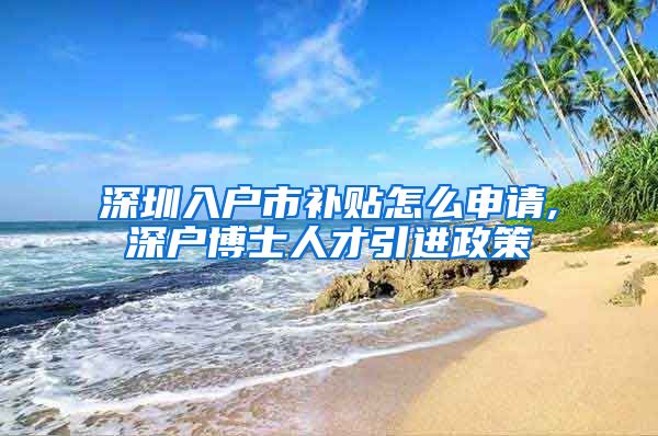 深圳入户市补贴怎么申请,深户博士人才引进政策