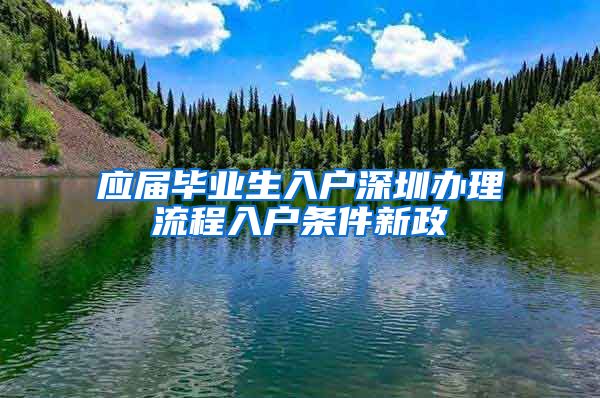 应届毕业生入户深圳办理流程入户条件新政