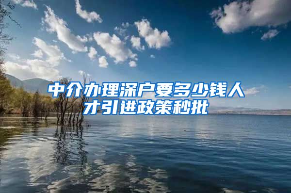 中介办理深户要多少钱人才引进政策秒批