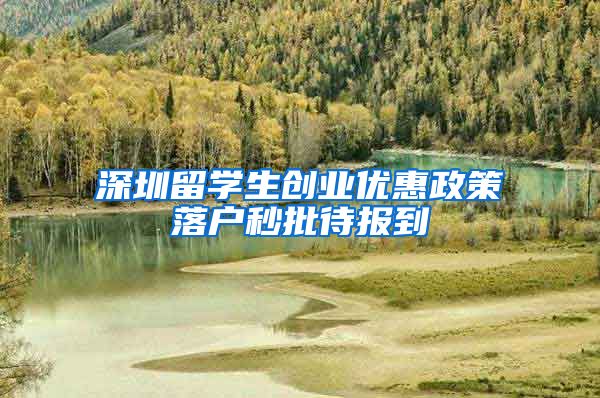 深圳留学生创业优惠政策落户秒批待报到