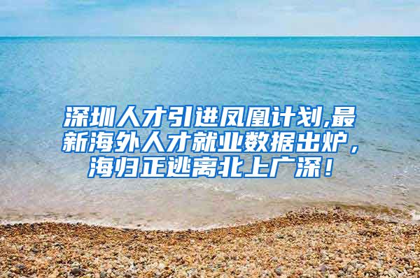 深圳人才引进凤凰计划,最新海外人才就业数据出炉，海归正逃离北上广深！