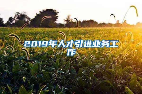 2019年人才引进业务工作