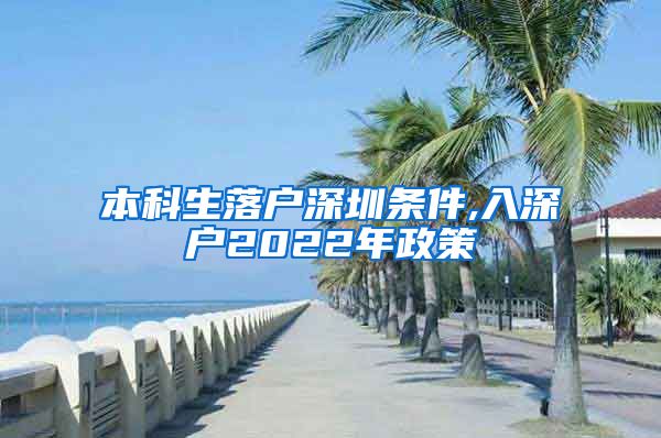 本科生落户深圳条件,入深户2022年政策