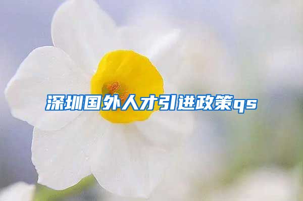 深圳国外人才引进政策qs