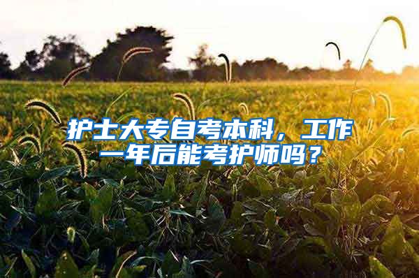 护士大专自考本科，工作一年后能考护师吗？