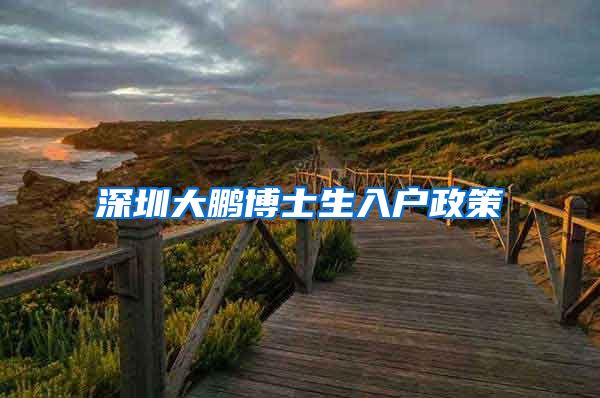 深圳大鹏博士生入户政策