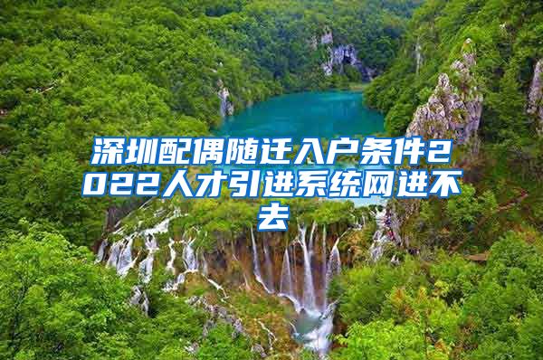 深圳配偶随迁入户条件2022人才引进系统网进不去