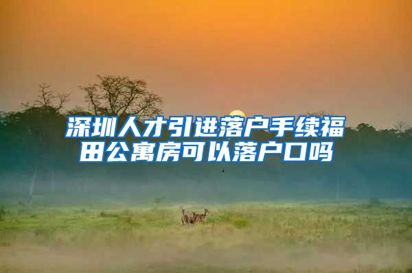 深圳人才引进落户手续福田公寓房可以落户口吗