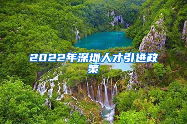 2022年深圳人才引进政策