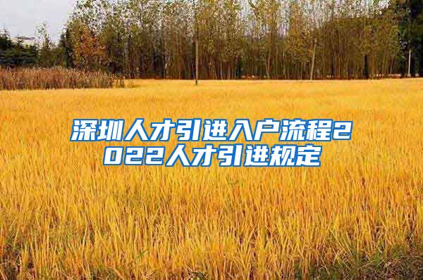 深圳人才引进入户流程2022人才引进规定