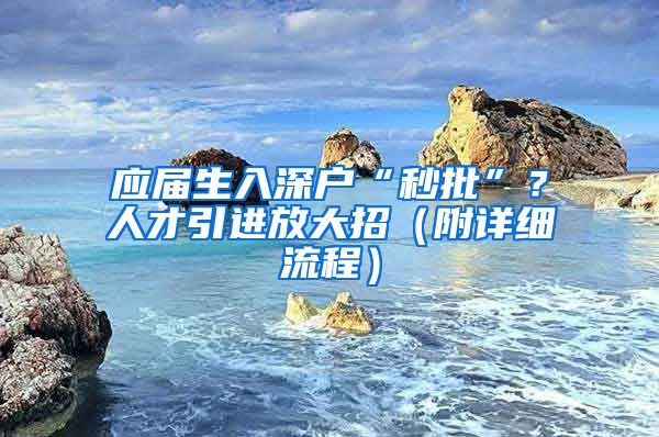 应届生入深户“秒批”？人才引进放大招（附详细流程）