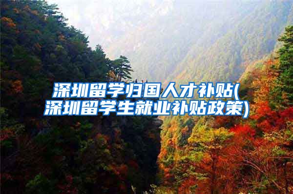 深圳留学归国人才补贴(深圳留学生就业补贴政策)