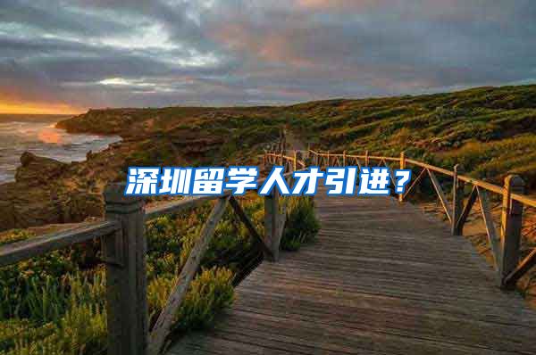 深圳留学人才引进？