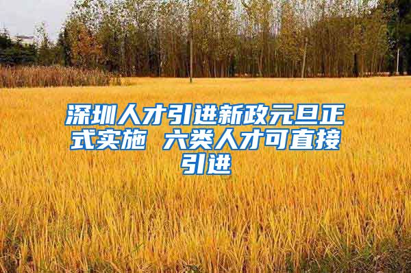 深圳人才引进新政元旦正式实施 六类人才可直接引进