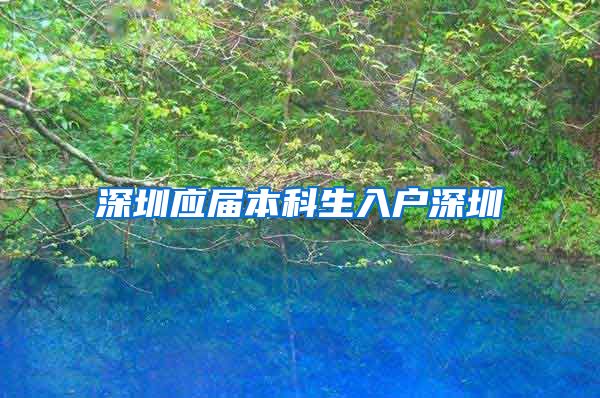 深圳应届本科生入户深圳