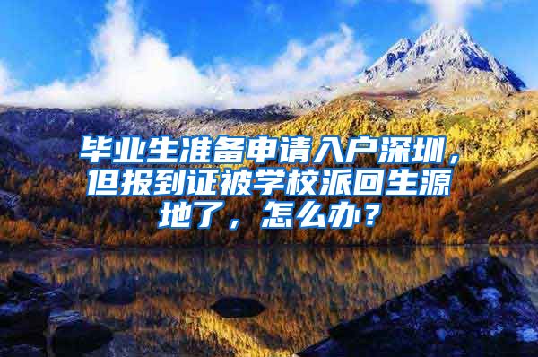 毕业生准备申请入户深圳，但报到证被学校派回生源地了，怎么办？