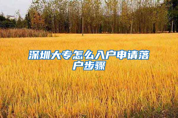 深圳大专怎么入户申请落户步骤