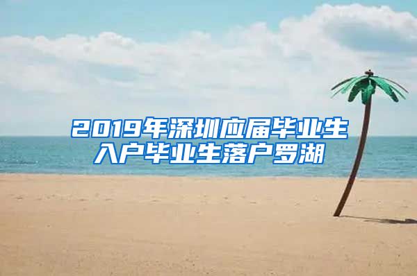 2019年深圳应届毕业生入户毕业生落户罗湖