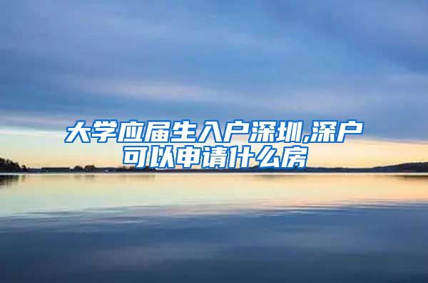 大学应届生入户深圳,深户可以申请什么房