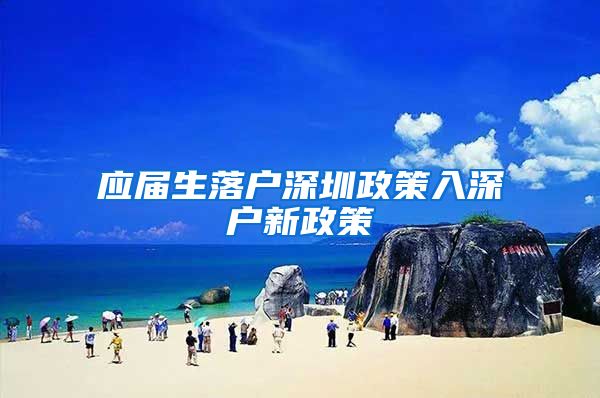 应届生落户深圳政策入深户新政策