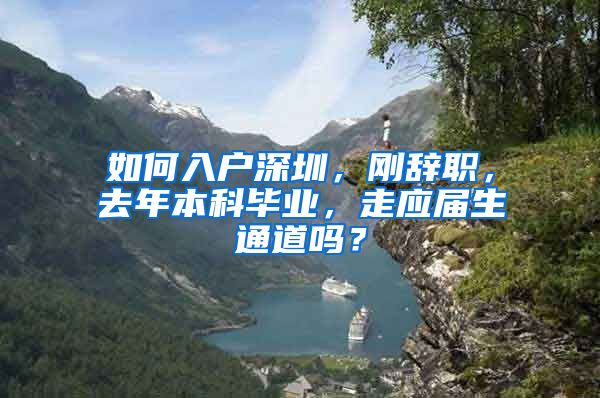 如何入户深圳，刚辞职，去年本科毕业，走应届生通道吗？