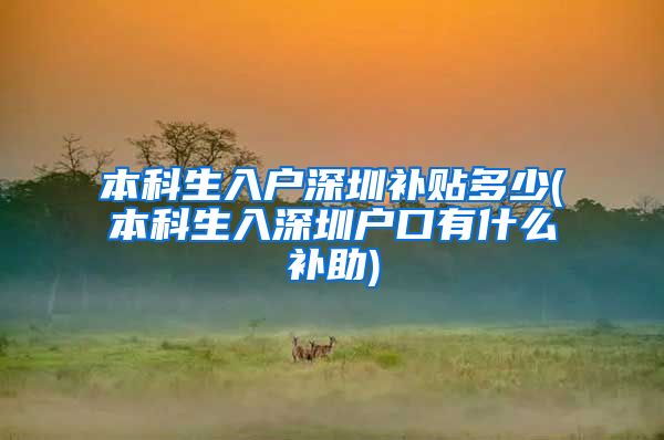 本科生入户深圳补贴多少(本科生入深圳户口有什么补助)
