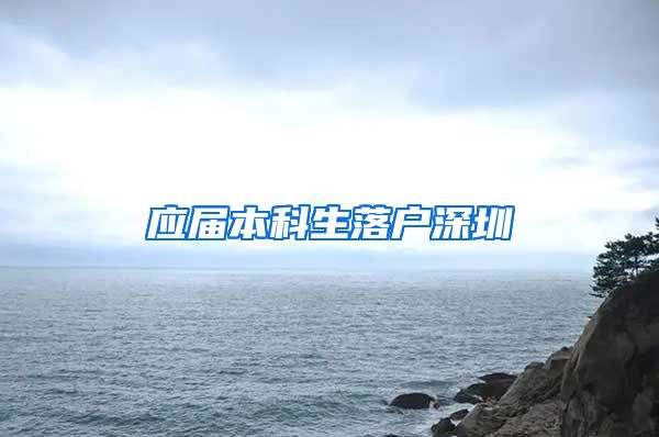 应届本科生落户深圳