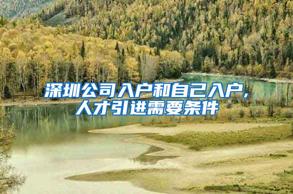 深圳公司入户和自己入户,人才引进需要条件