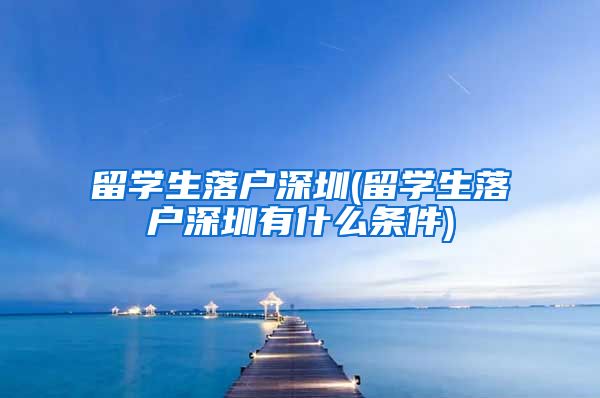 留学生落户深圳(留学生落户深圳有什么条件)