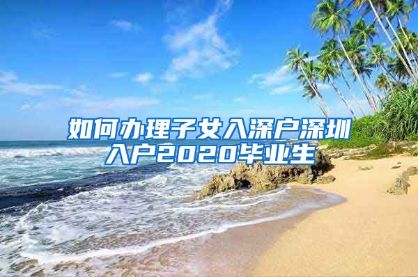 如何办理子女入深户深圳入户2020毕业生