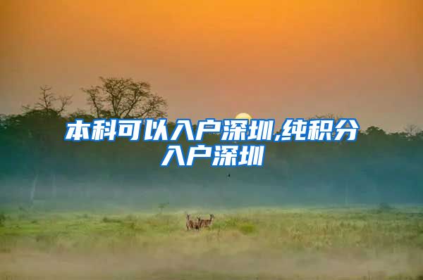 本科可以入户深圳,纯积分入户深圳