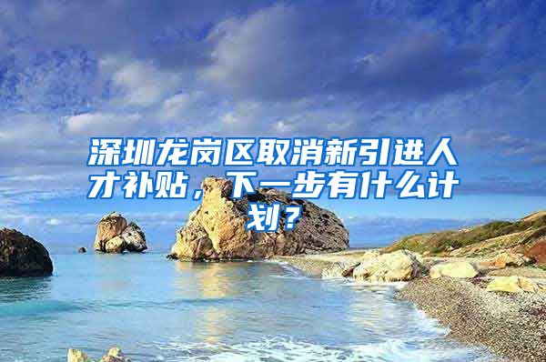 深圳龙岗区取消新引进人才补贴，下一步有什么计划？