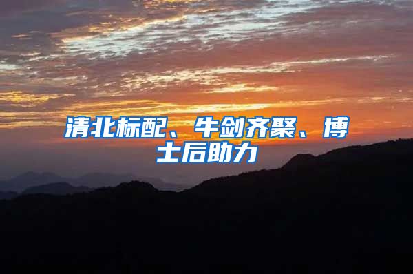 清北标配、牛剑齐聚、博士后助力