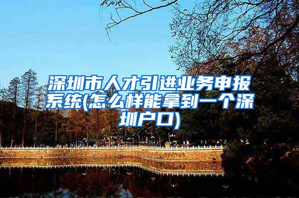 深圳市人才引进业务申报系统(怎么样能拿到一个深圳户口)