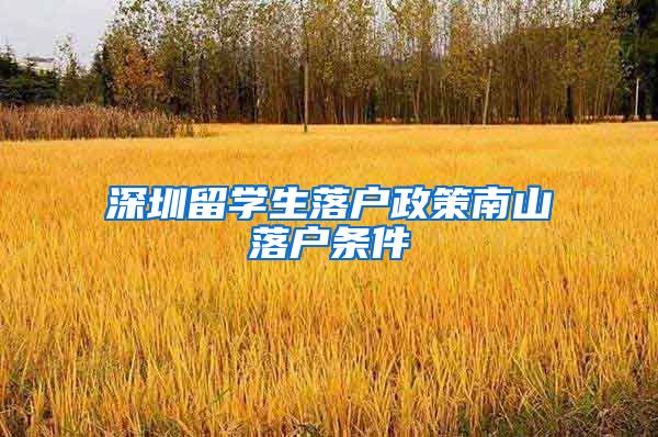 深圳留学生落户政策南山落户条件