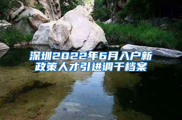 深圳2022年6月入户新政策人才引进调干档案