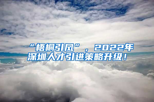 “梧桐引凤”，2022年深圳人才引进策略升级！