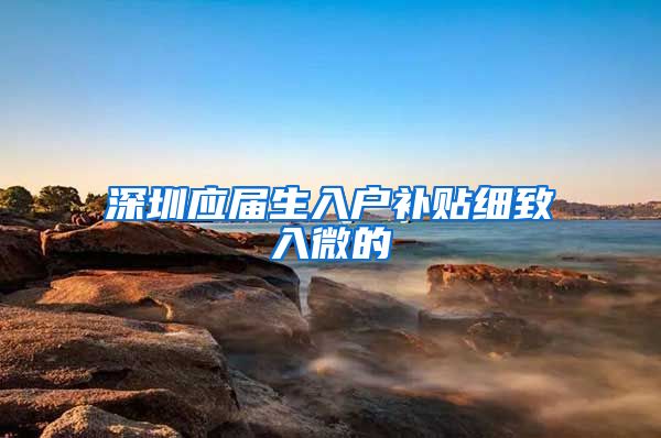 深圳应届生入户补贴细致入微的