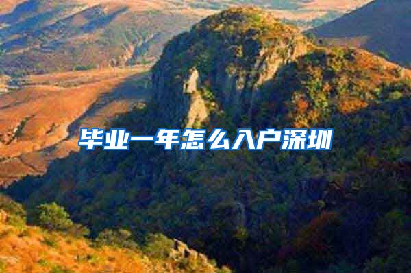 毕业一年怎么入户深圳