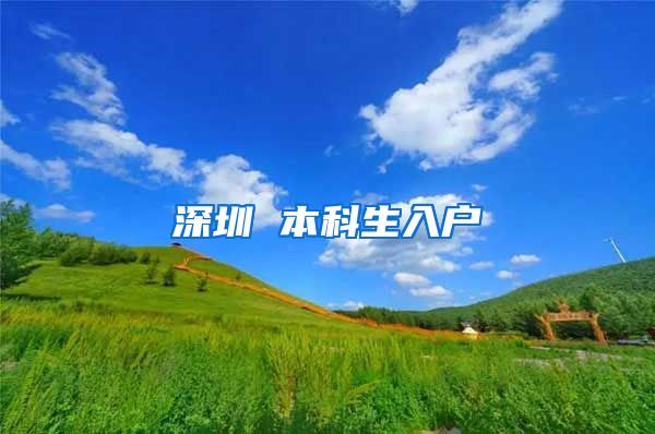深圳 本科生入户