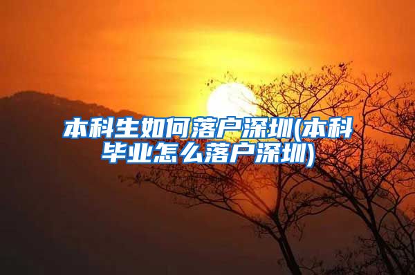 本科生如何落户深圳(本科毕业怎么落户深圳)